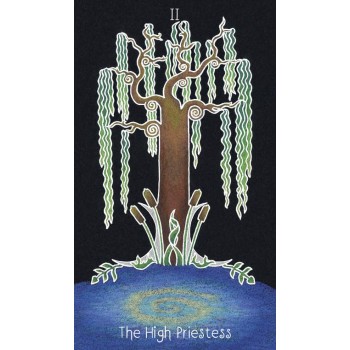 the Animystic Tarot kortos Schiffer Publishing